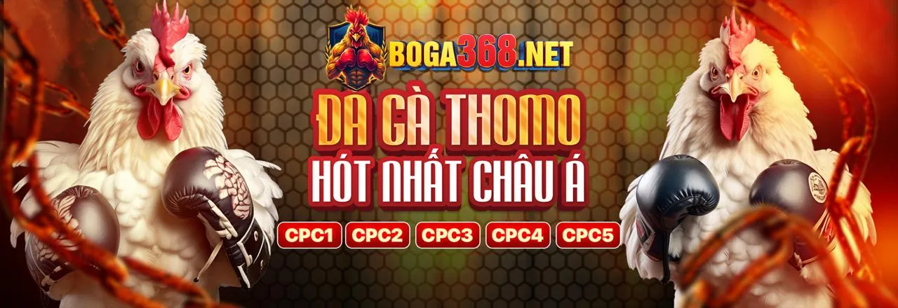 Cá cược thể thao đỉnh cao tại 888vip