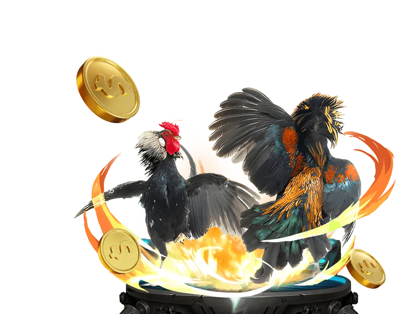 Kiểm Định RNG nk88